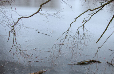 Cold winter frozen nature close up, ice frosty wooden twigs touching ice water