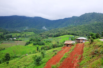 Natural muddy wet countryside road in tropical rain forest on mountain in northern of Thailand....