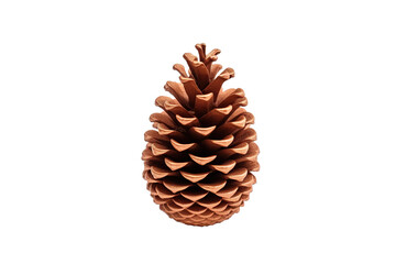 pinecone for Christmas tree decoration