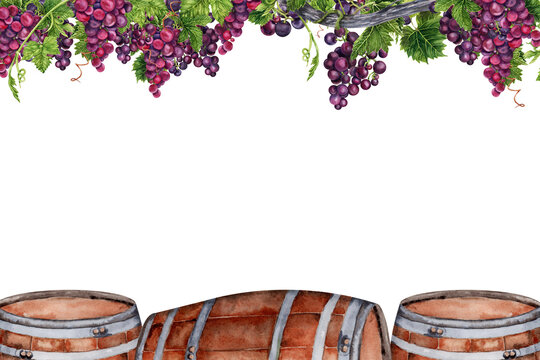 Postcard design with wine, port, whiskey barrels under bunches of grapes on vine branch. Watercolor illustration isolated on transparent background. Border frame for cards, menus, invitations, tasting