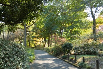 北の丸公園の風景
