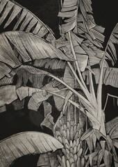 Banana leafs on a black rustic background
