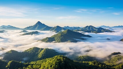 The image of the sea of fog in the morning under the clear blue sky at the peak of Mountain in Park is one of the most beautiful sea fog spots .