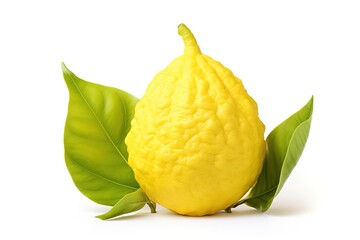 Etrog (Lemon or Citron) on white background