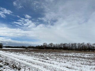 snow covered field