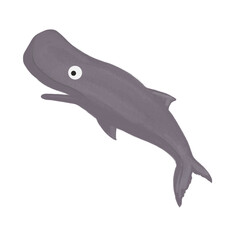 Sperm whale