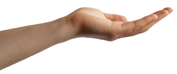 手　受ける　PNG　切り抜き　ai生成画像

