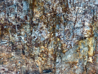 Close up of a cave rock face with various colors and textures. The rock is predominantly brown and yellow with patches of white and black. The texture is rough and jagged.