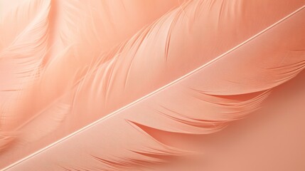airy feathers of light peach color, Peach Fuzz trend 2024, banner, poster, copy space