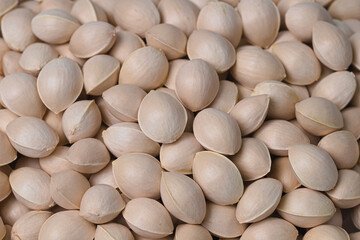 たくさん取れた殻付きの銀杏