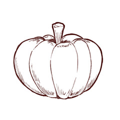カボチャの線画