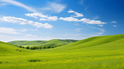 A scenic spring landscape with rolling hills covered in wildflowers under a sunny sky.