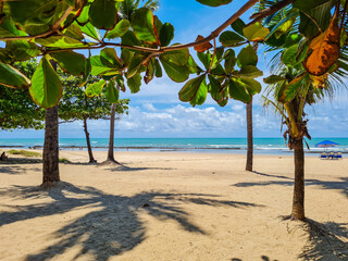 Sunny day in the spring of northeastern Brazil. Boa Viagem Beach, Recife, Brazil.