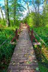 Beautiful autumn nature with a wooden bridge over the swamp of the dead end of the Laborec river in the Oborin region, Slovakia