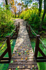 Beautiful autumn nature with a wooden bridge over the swamp of the dead end of the Laborec river in...