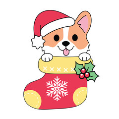 Corgi in Christmas Socks Christmas Corgi  Kids Holiday