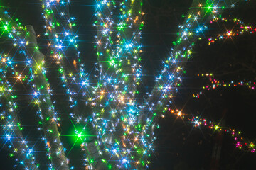 六本木のキラキラのイルミネーション