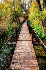 Obraz premium Beautiful autumn nature with a wooden bridge over the swamp of the dead end of the Laborec river in the Oborin region, Slovakia