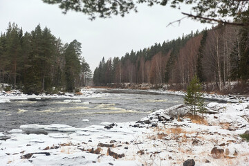 river in winter forest