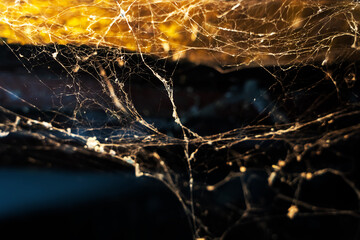 Spider webs on doors as background