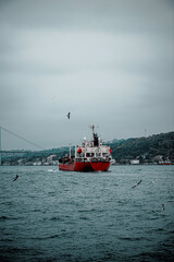 A cargo ship passing through the Bosphorus