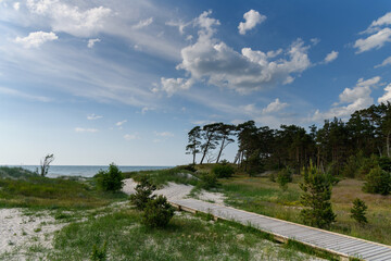 Baltic sea coast in summer time.