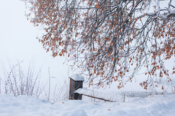 Krajobraz zimowy, mglisty świt (Winter landscape, foggy dawn) - obrazy, fototapety, plakaty