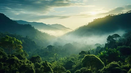 Raamstickers Tropical rainforest. Green and misty. © venusvi