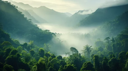 Schilderijen op glas Tropical rainforest. Green and misty. © venusvi