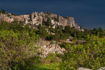 Fototapeta na wymiar Landschaft (Macchia) auf der griechischen Dodekanes-Insel Karpathos // Landscape (macchia) on the Greek Dodecanese island of Karpathos