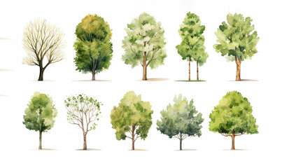the charm of a watercolor-style illustration showcasing a collection of summer or spring trees in a delightful cartoon style, isolated on a white background. Generative AI.