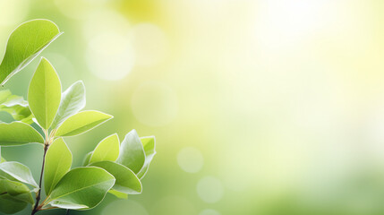 Serene Spring Background: Fresh Green Tree Leaves in Nature's Blurred Beauty - Lush Foliage and Vibrant Seasonal Growth for a Tranquil Summer Landscape.