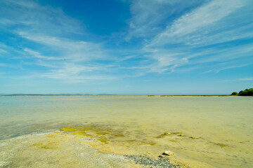 Stagno sa Punta de s'Aliga, area paludosa e fenicotteri. Isola di Sant'Antioco. Sardegna, Italia