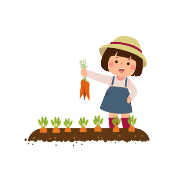 Little girl farmer harvesting carrots in the garden