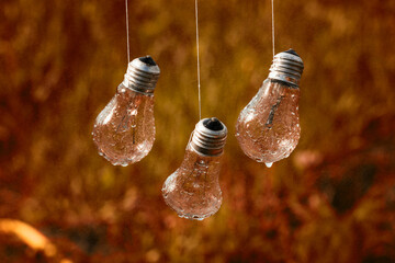 light bulbs hang in the rain, abstraction