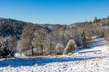 Forêt de sapins à proximité du Lac de Lavalette, dans les Gorges du Lignon, sous les premières neiges de l’hiver