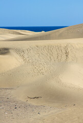 Spain. Gran Canaria island. Dunes of Maspalomas