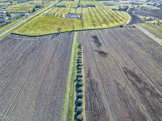 Aerial view of sown field. - 690670730