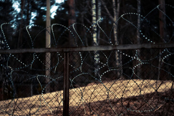 Barbed wire at restricted area. Forest behind. Lack of freedom concept