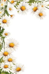Daisy Chain Border Frame isolated on white