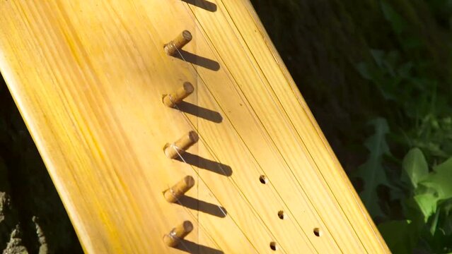 Dolly Close Up Shot of Freshly Made Wooden National Zither Placed By The Tree Trunk