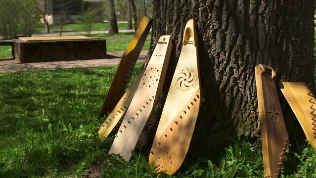 Dolly Medium Shot of Freshly Made Wooden National Zithers Placed By The Tree Trunk