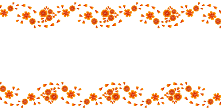 Floral pattern (horizontal border) based on seamless pattern. Composition of Gaillardia flower petals. Bright orange flowers on a white background. - Powered by Adobe