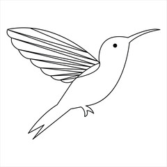 Hummingbird minimalist design continuous single line art drawing outline vector illustration