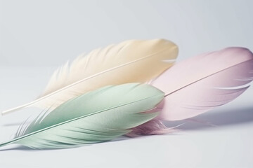Pastel color feather abstract background