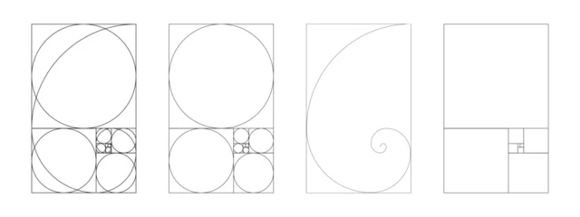 Wandcirkels aluminium Golden ratio template set. Balance, harmony proportions. Golden section. Fibonacci array, numbers. Outlined vector illustration. © Hanna