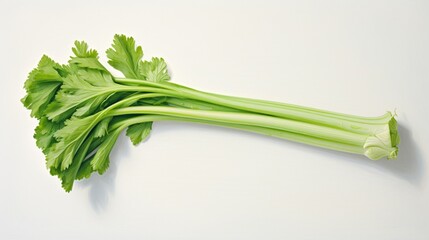 A single stalk of celery, its crisp structure and green hue standing out against a bright white canvas.