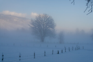 walking in the winter landscape in the austrian mountains at a foggy and cold morning