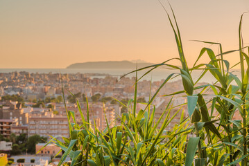 Panorama of Trapani from Erice