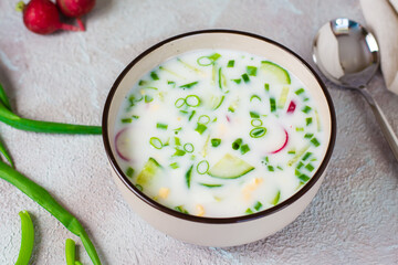 Appetizing traditional Russian cold soup with vegetables and kefir in a bowl. Homemade food.